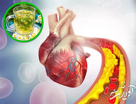 فواید گیاه بابونه گیاهان دارویی برای لاغری،گیاهان دارویی و خواص آنها